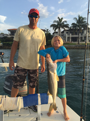 Centropomus undecimalis