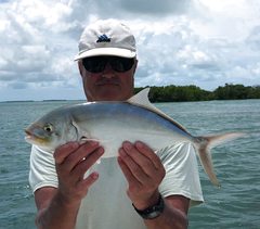 Caranx bartholomaei