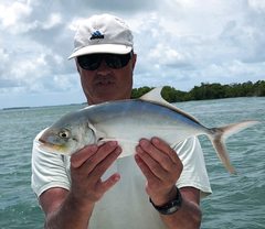 Caranx bartholomaei