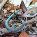 Pygmy Blue-tailed Ameiva - Photo (c) Pedro Genaro Rodriguez, some rights reserved (CC BY-NC), uploaded by Pedro Genaro Rodriguez