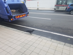 Corvus macrorhynchos