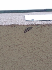 Eupithecia succenturiata