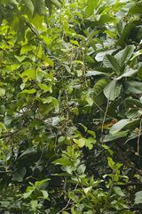 © graham_g, some rights reserved (CC-BY-NC)