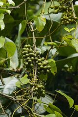 © graham_g, some rights reserved (CC-BY-NC)