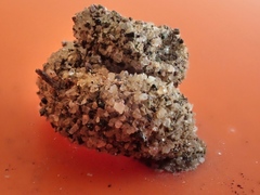 Apterona helicoidella