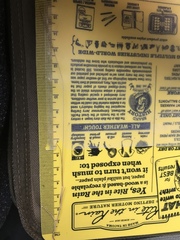 Festuca brachyphylla