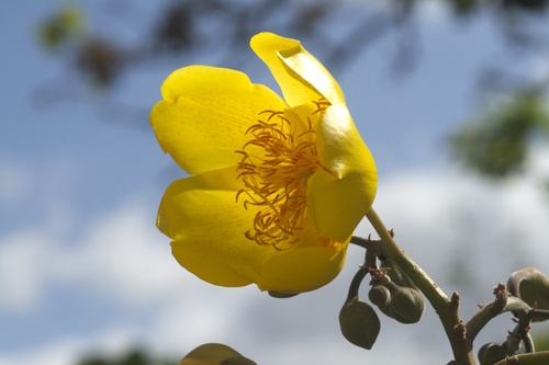 (c) JR Ferrer-Paris, some rights reserved (CC BY)