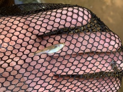 Lepidomeda mollispinis