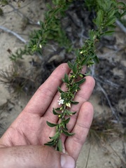 © emmettls, some rights reserved (CC-BY-NC)