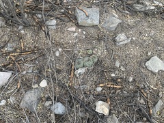 © adonay_vasquez, some rights reserved (CC-BY-NC)