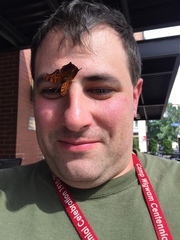 Polygonia interrogationis