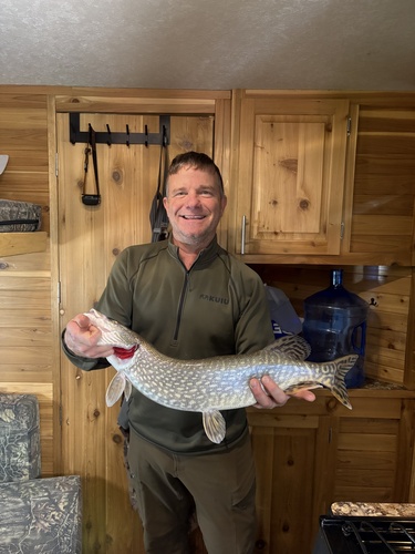 Northern Pike
