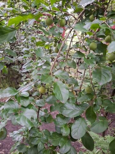 Foto de Aberia