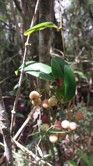 © nomentsoa, some rights reserved (CC-BY-NC)