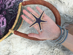 Astropecten articulatus