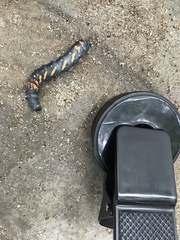 Lirimiris lignitecta