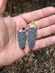 Abies balsamea image