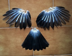 Garrulus glandarius graecus