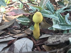 Image Associated With the Occurrence