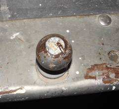 Deilelater physoderus