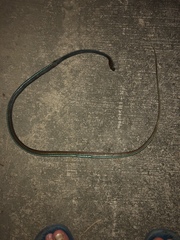 Dendrelaphis caudolineatus