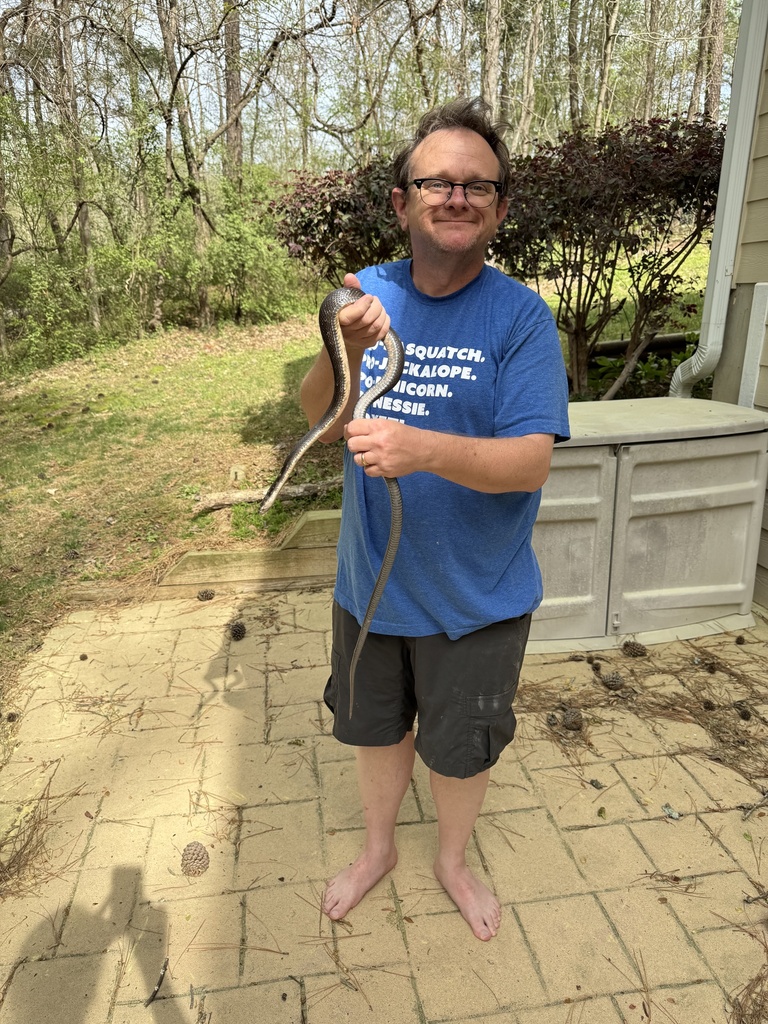 Eastern/Gray Ratsnake Complex from Oak Bluffs, Pittsboro, NC, US on ...