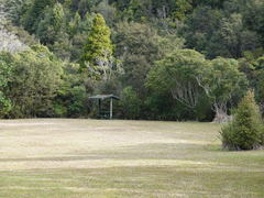 Oryctolagus cuniculus cuniculus