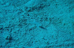 Istigobius decoratus