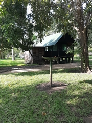 Hypargos niveoguttatus