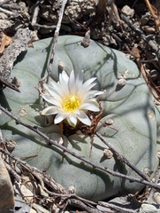 © Aron René Kirchhoff, some rights reserved (CC-BY-NC)