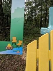 Aphilanthops frigidus