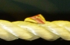 Eublemma cochylioides