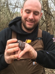 Necturus lewisi