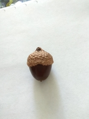 Quercus