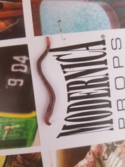 Lumbricus rubellus