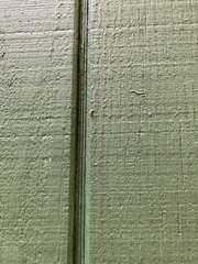 Synecdoche impunctata