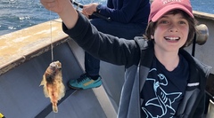 Citharichthys sordidus