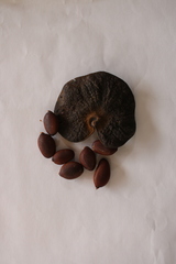 Enterolobium contortisiliquum