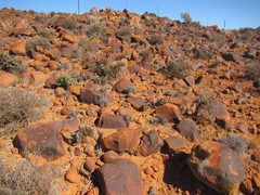 Pleiospilos compactus