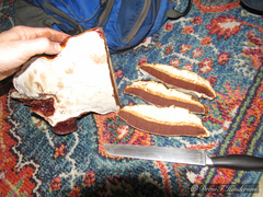 Ganoderma oregonense