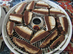 Ganoderma oregonense