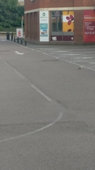 Streptopelia decaocto