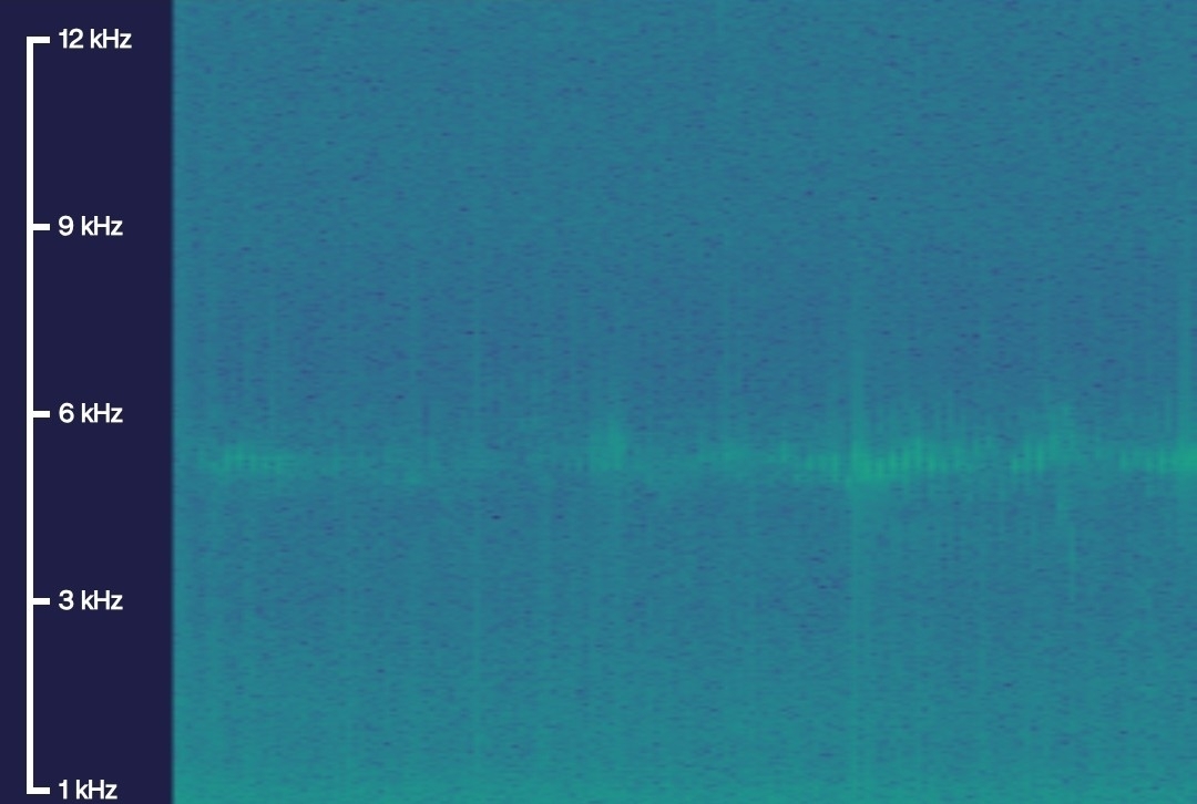 Common Grasshopper Warbler