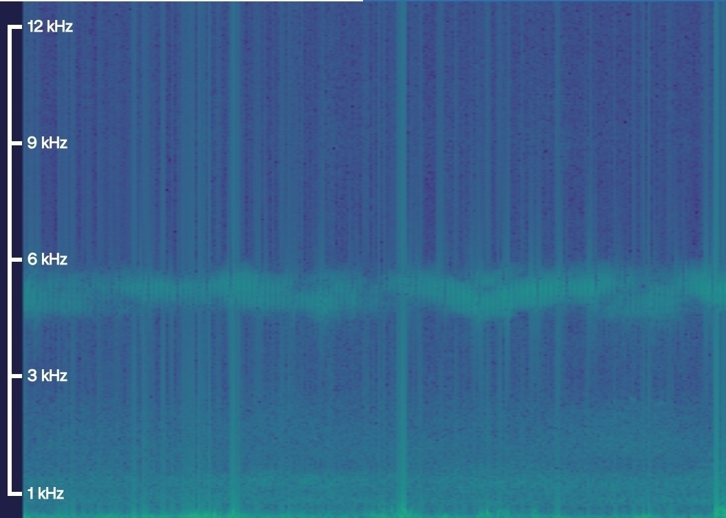 Common Grasshopper Warbler