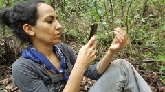 Paraisaria gracilioides