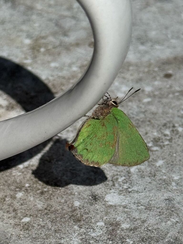 Greenstreaks