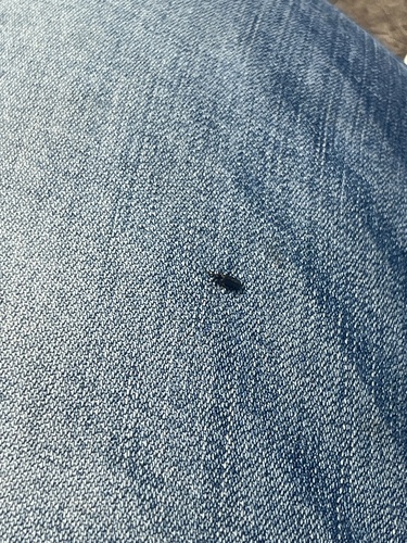 Unknown species found near Moscow, ID, US