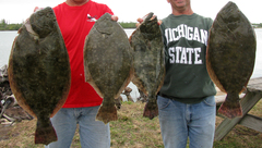 Paralichthys lethostigma