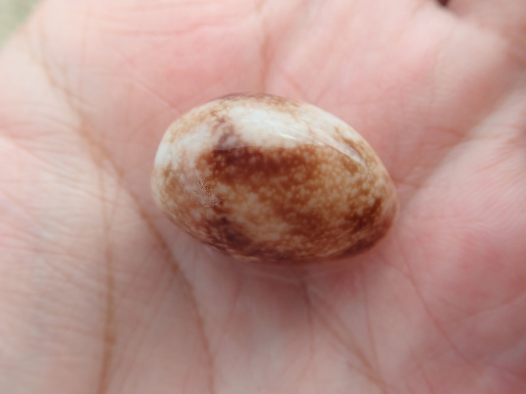 ampulle bubble