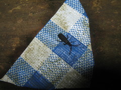 Leptoceletes basalis